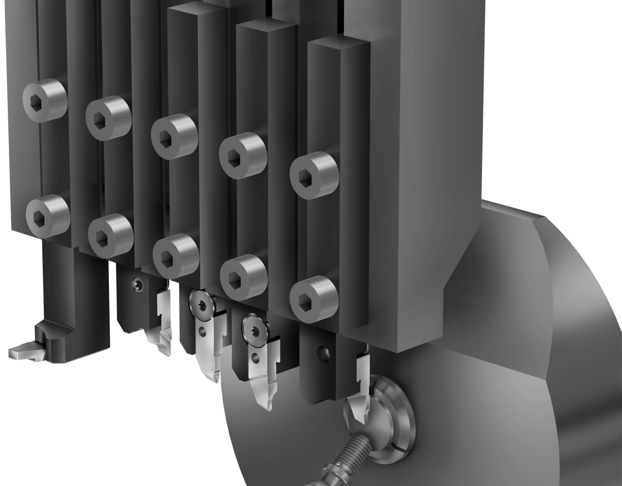 Vargus - 1
